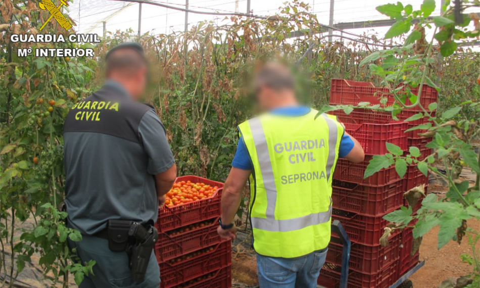 2019-6-25-1115Opson 1.png